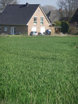 Blick vom Feld