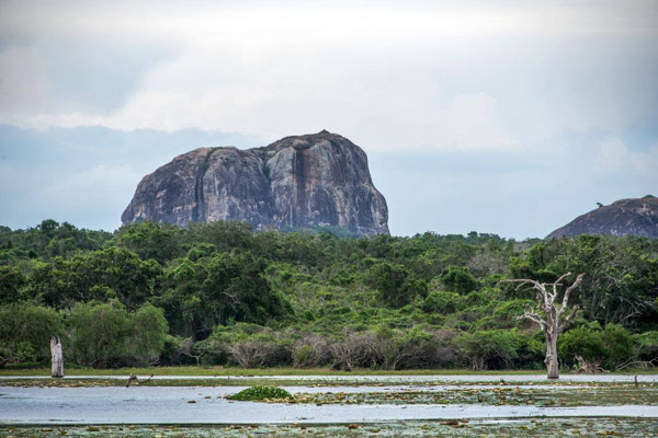 Parc national de Yala 12