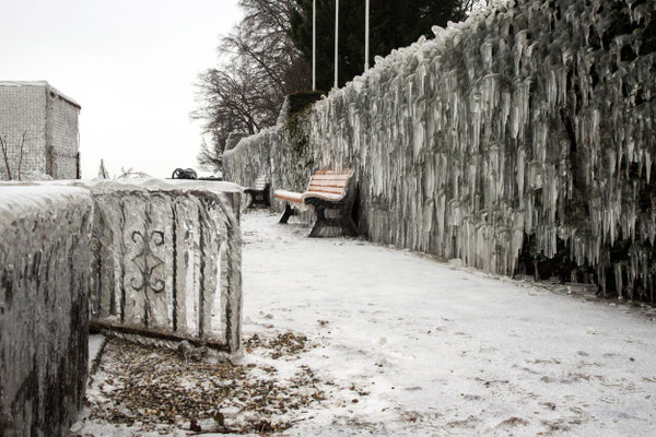 Versoix 21 - Janvier 2017