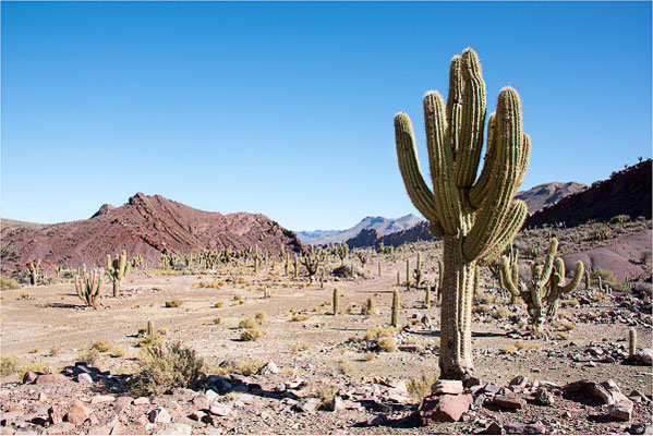 Paysages 95 - Bolivie