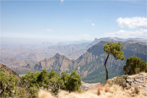 ETHIOPIE - Parc National du Siemen 07
