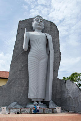 Galle 03