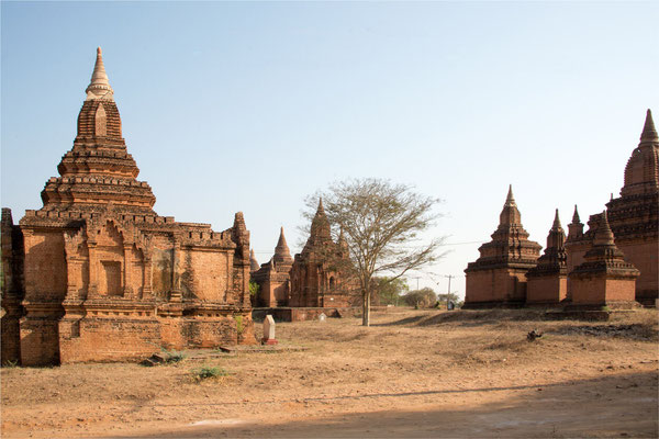 Bagan - Le site 02