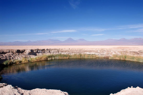 Lagunas 15 - Los ojos de salar