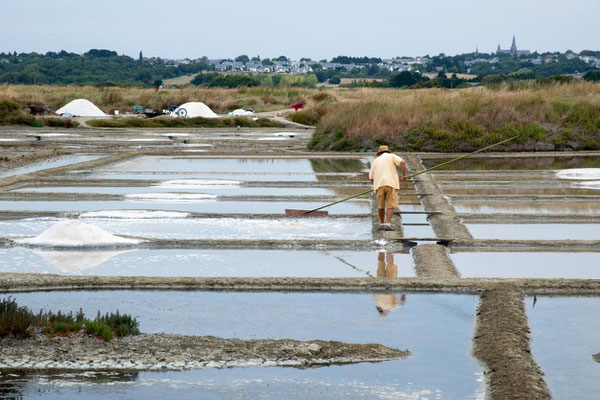 Salines de Guérande 06