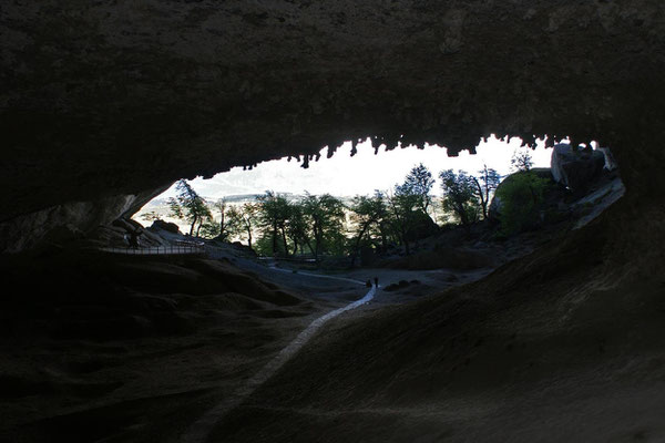 PuN 10 - Caverne du Milodon