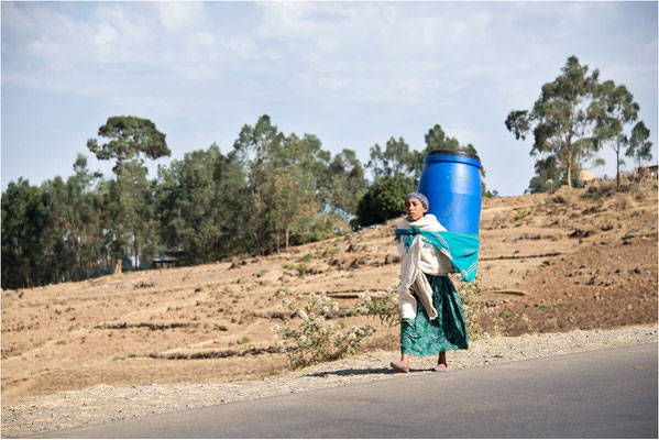 ETHIOPIE - Parc National du Siemen 01