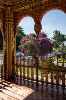 Luang Prabang - Vat Pa Huak - 08