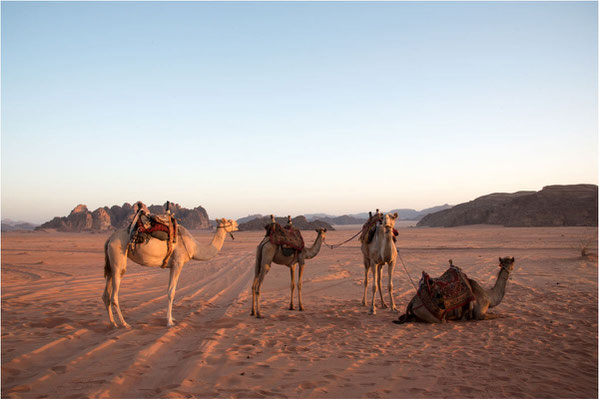 45 - Wadi Rum - Lever de soleil