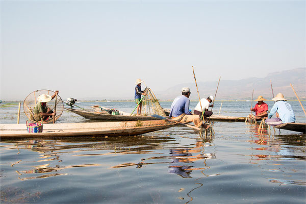 Lac Inlé - Pêche traditionnelle à la nasse 06