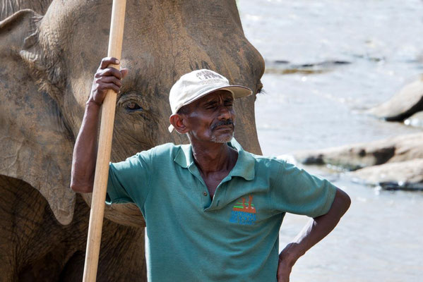 Orphelinat des éléphants 04