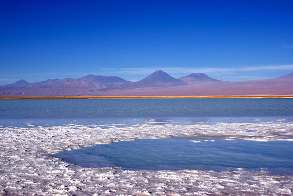 Chili nord - Lagunas 06 - Laguna Tebenquiche