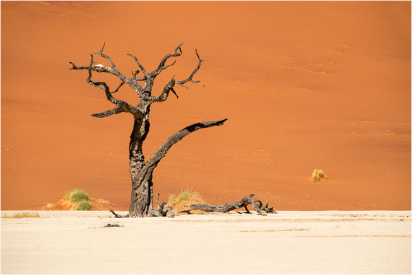 Paysages 82 - Namibie