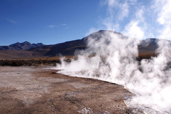 Geysers du Tatio 12