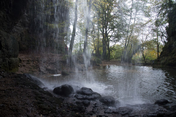 Cascade de la Roche 03 - Automne 2016 - Arrière de la cascade