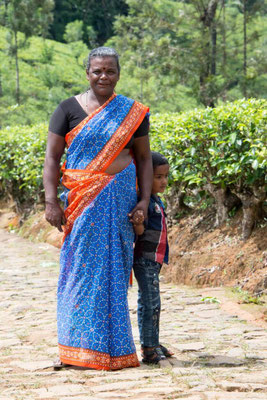 Sri Lanka - La route du thé 04