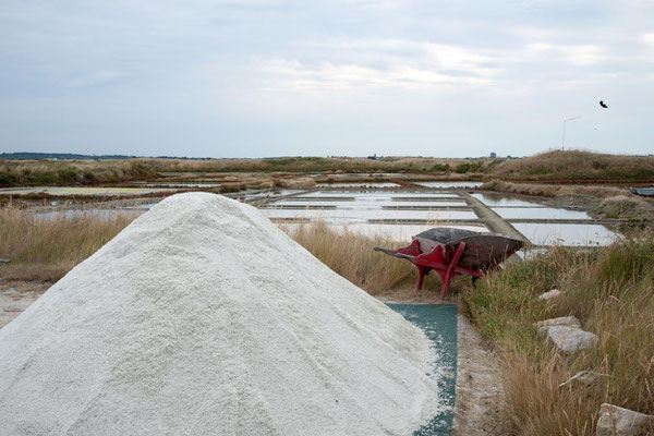 Salines de Guérande 09