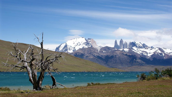 Torres del Paine 05