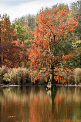 Paysages 63 - Ain