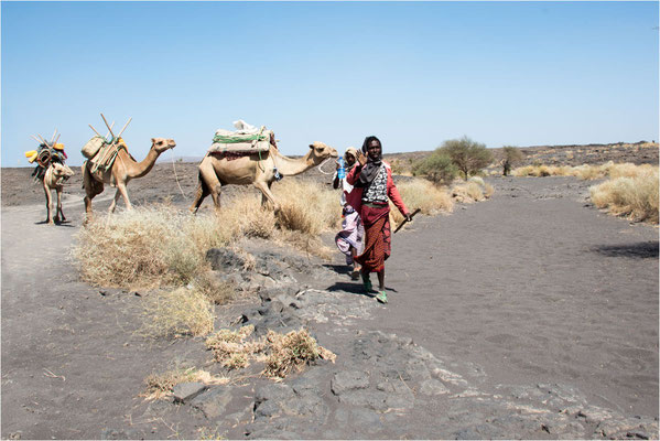 ETHIOPIE - Dépression du Danakil- Au pied de l'Erta Alé 09