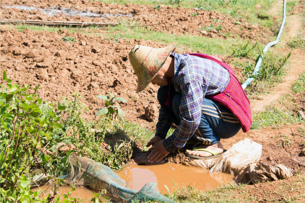 Kalaw - Rando au départ du quartier colonial 06