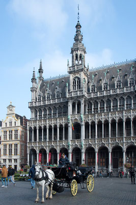 Bruxelles 24 - Grand place
