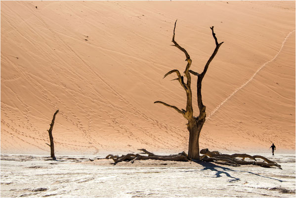 Paysages 83 - Namibie