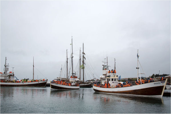 Husavik 08