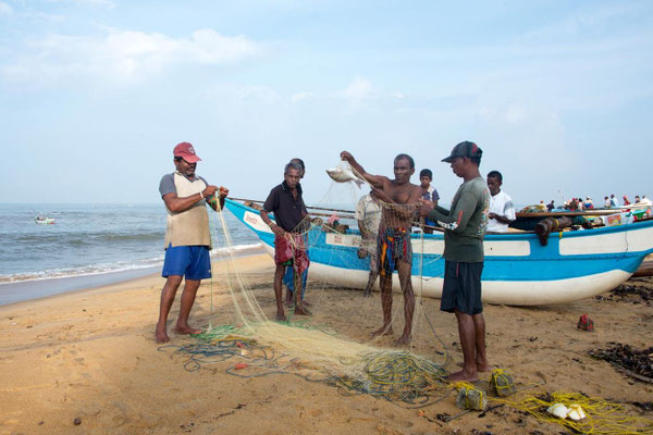 Kalutara 11