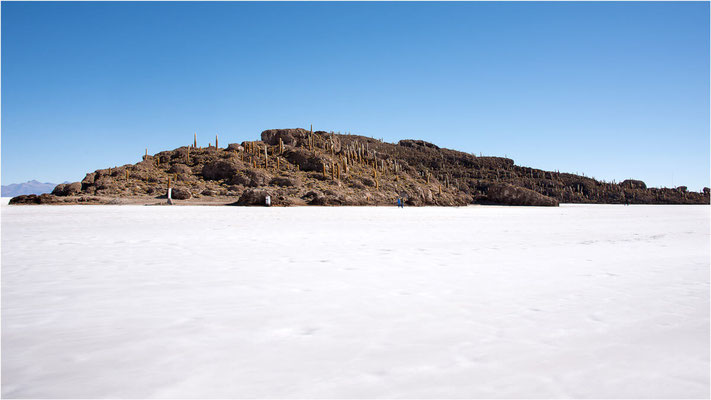 Salar de Uyuni 10 - Ile de Incahuasi