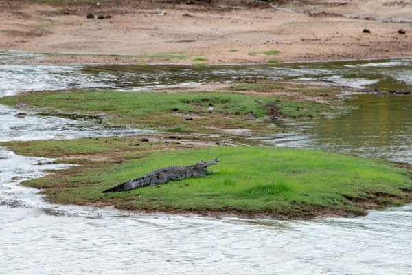 Parc national de Yala 01