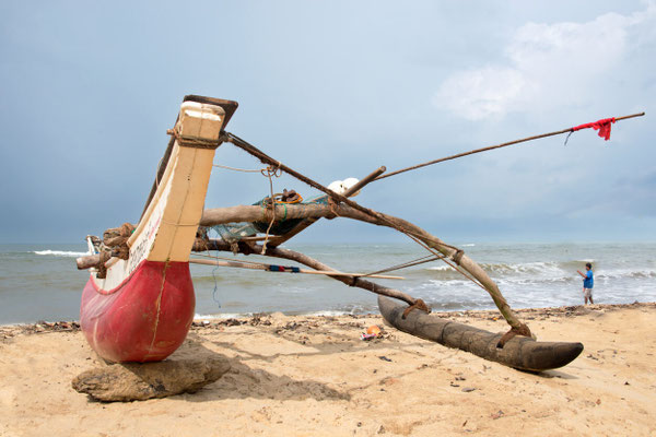 Paysages 46 - Sri Lanka