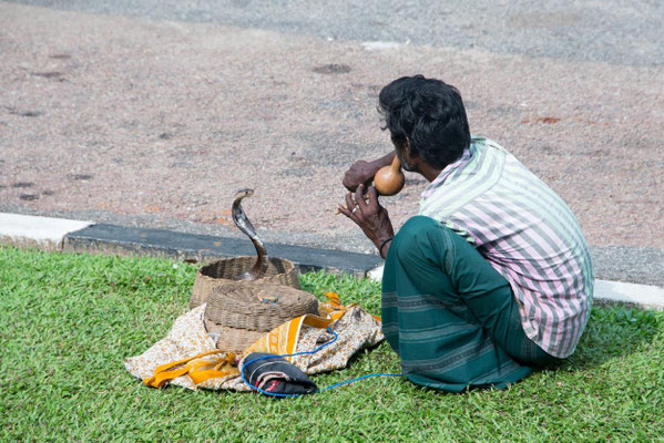 Colombo 04