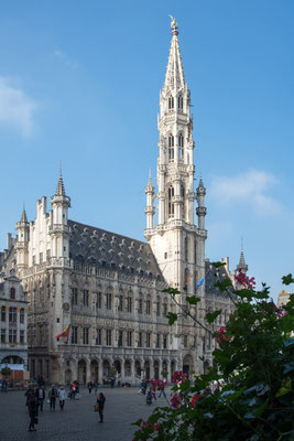 Bruxelles 23 - Grand place - Hôtel de ville