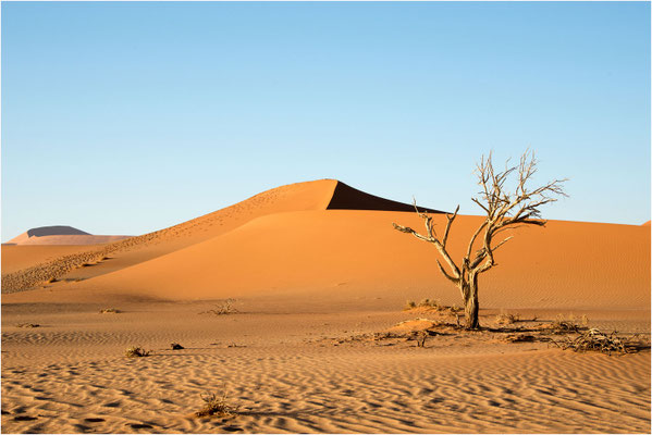 Paysages 81 - Namibie