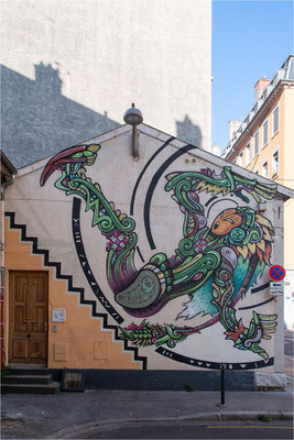 Street Art Lyon 53