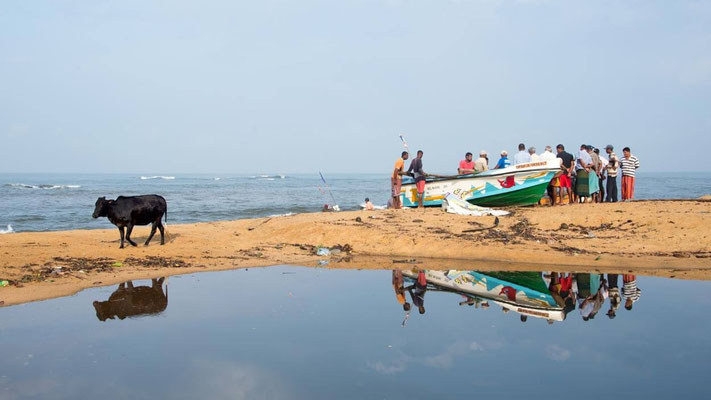 Kalutara 12