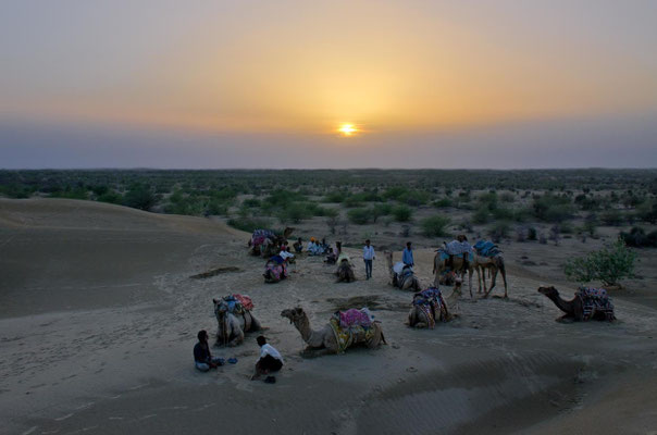 Désert du Thar 15 - Désert du Thar