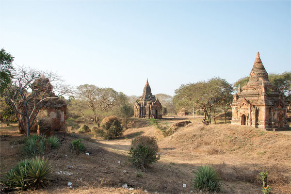 Bagan - Le site 01