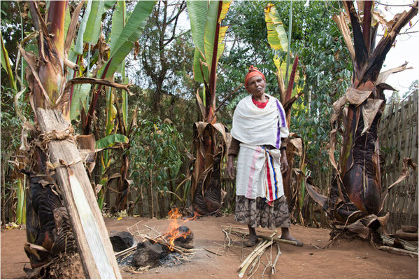 ETHIOPIE - Vallée de l'Omo - Village Dorzé 09 - Préparation du Kocho (galette à partir du faux bananier)