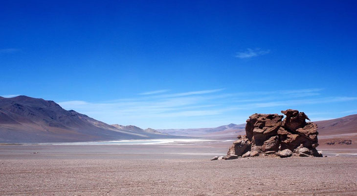 Altiplano 10 - Rochers de Tara