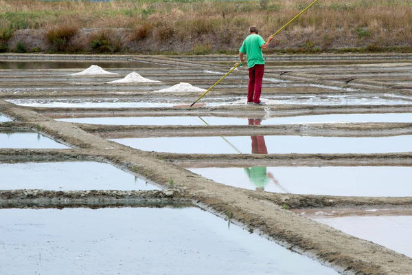 Salines de Guérande 03