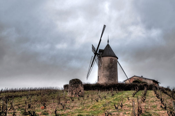 Paysages 54 - Beaujolais
