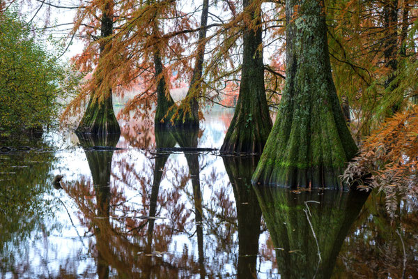 Paysages 60 - Ain