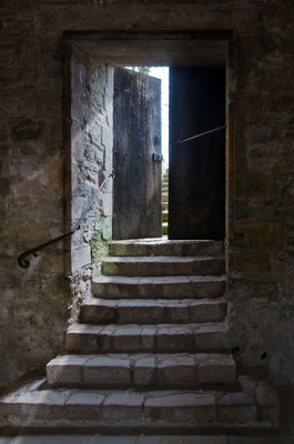 Cluny 14