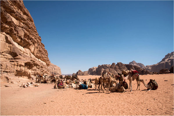 10 - Wadi Rum 