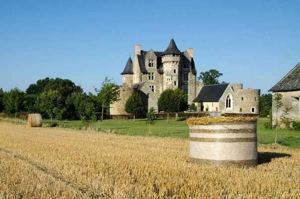 Anjou- Château de Vaux 03