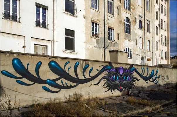 Street Art Lyon 06