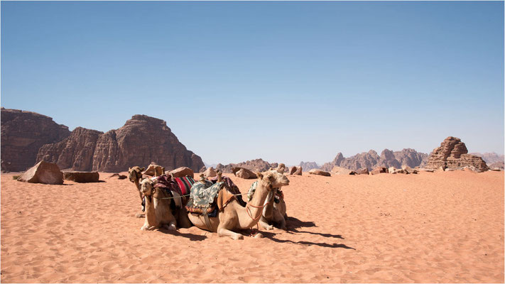 09 - Wadi Rum 