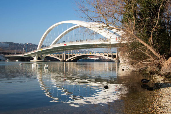 Lyon - Bords de Rhône 10 - Pont Raymond Barre